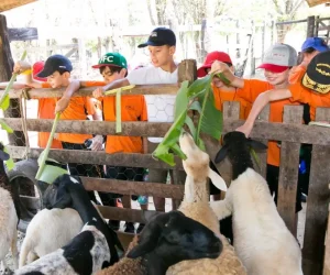 galeria-de-campo-001