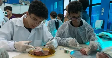 praticas-40